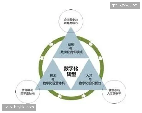 新时代民营企业家的责任与使命：创新驱动下的转型与发展路径探索